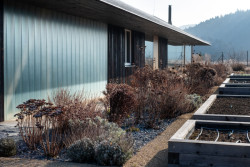 Takto ji proměňuje zima. (Zahrada rodinného domu u vodní nádrže Kamýk, Atelier Flera)