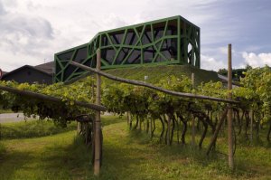 Cantina Tramin, Itálie – foto