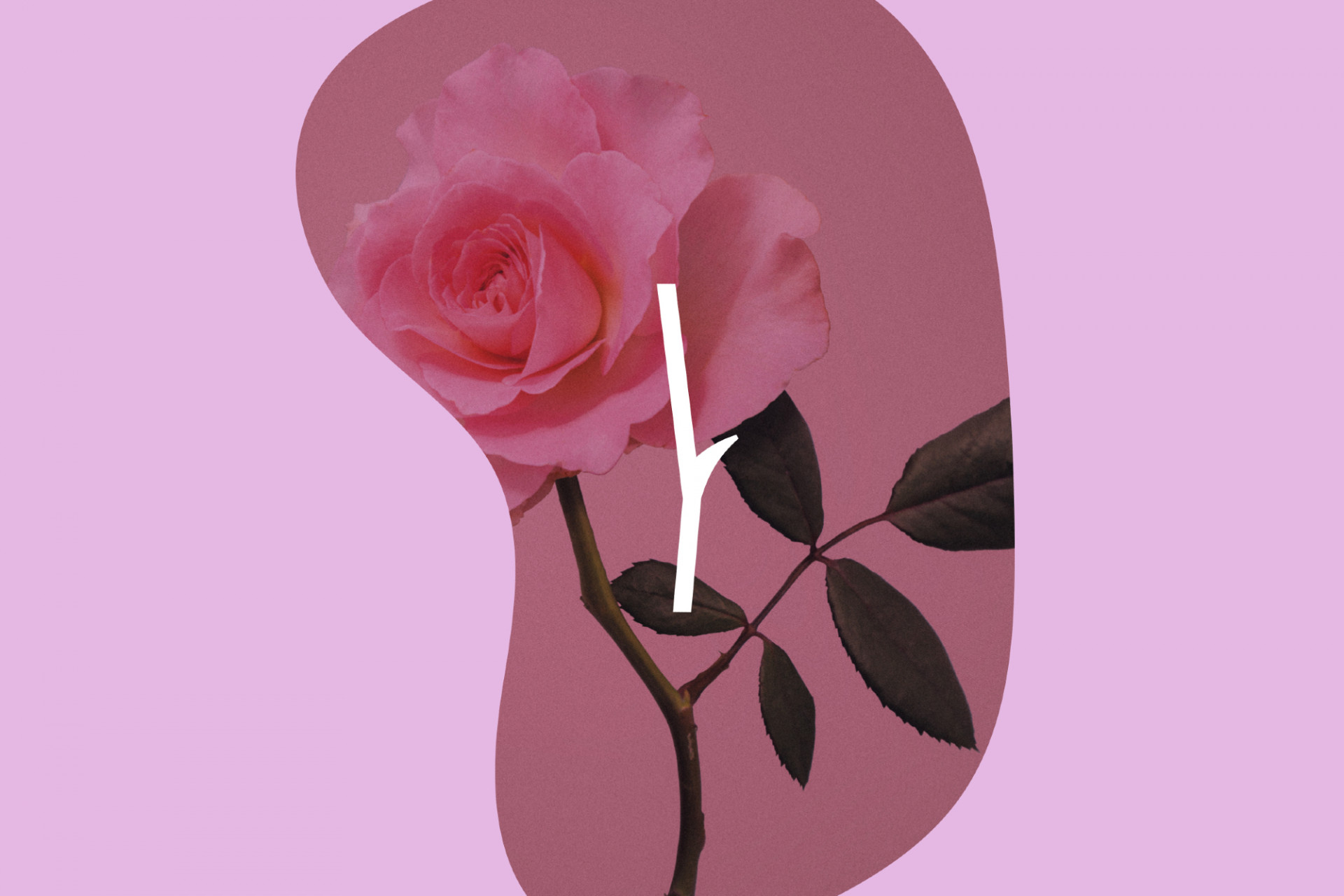 Nová vizuální identita města Blatná, Jakub Vaněk Studio.