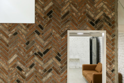 Vault 42, studio Raketoplán