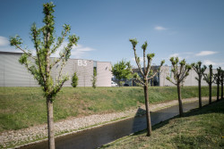 CT Boxy, Areál Ponávka, Studio Acht / Václav Hlaváček.