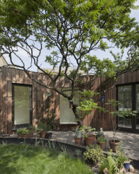 Tree House, 6a architects