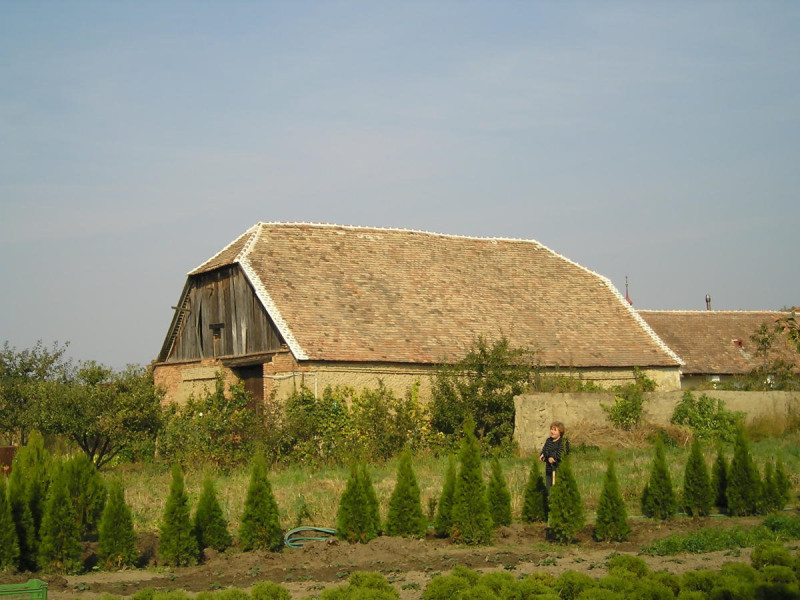 Dům čp. 49, Slup