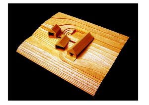 Rust-ic House, model objektu,Urban Agency