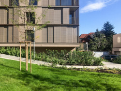 Rezidence Pri Mýte, Arhitektura Krušec