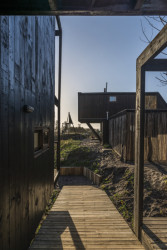 MQ Houses, Altamarea arquitectura