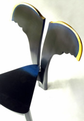 Vlastimil Teska, Černý anděl - foto