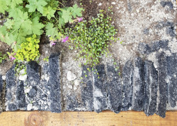  6. června 2024 vystoupí v rámci přednáškového cyklu Kra/jiná pařížský ateliér Wagon Landscaping i tuzemský ateliér Terra Florida.