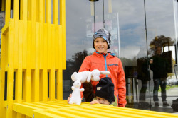 CITY moduly citlivě doplněné žlutými dřevěnými prvky před Průmyslovým palácem na Výstavišti