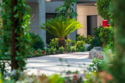 Jungle Interiors do svých návrhů začleňuje rozsáhlé množství rostlin, které plní nejen ekologickou roli, ale zlepšují kvalitu ovzduší a akustiku interiéru.