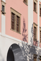 Café KONVIKT, Denisa Strmiskova Studio