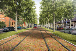 Olšanskou ulici zaplní stromořadí a přibyde cyklostezka s parkem