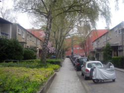 Ulice mezi řadovými domy na sídlišti Römerstadt