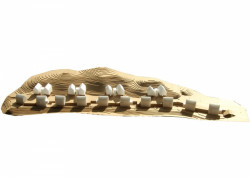 Paleko Arch Studija, PLAZMA Architecture Studio, dřevěné domky Rasu u Vilniusu, model