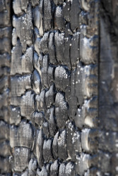 Detail opalovaných prken