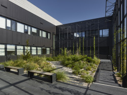 Studio Bogle Architects navrhlo novou budovu Fyzikálního ústavu Akademie věd České republiky na pražském Ládví