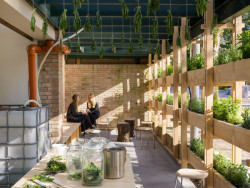 Dánský pavilon - nejkrásnější prostor celého Giardini. Foto: Hampus Berndtson