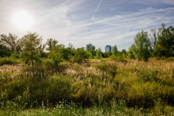 Soutěžní dialog bude hledat podobu nového parku v pražském meandru
