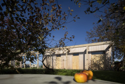 Med Pavlík architekti navrhli úsporný rodinný dům v sadu na Pardubicku