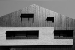 Twin house, bergmeisterwolf architekten,