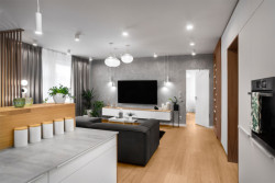 Interiér liberecké vily, Josef Trakal