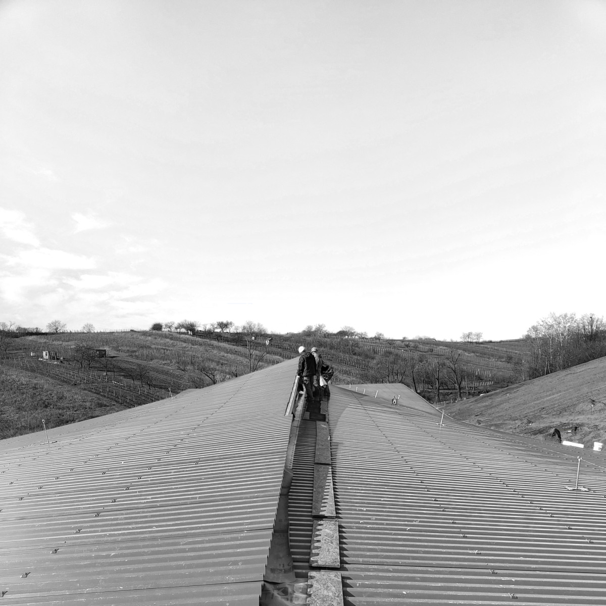 Fotografie z výstavby (ARTEVINI Resort & Winery u Velkých Pavlovic; znamení čtyř – architekti)