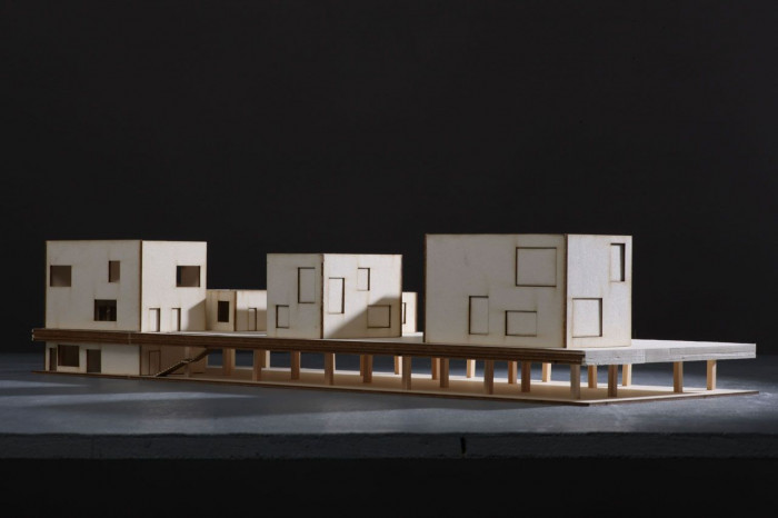 Sveta Devyatkina, Klinika / Hrádek nad Nisou - foto