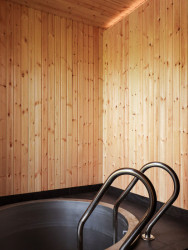 Součástí interiéru je také malý ochlazovací bezén. (Sauna, Adam Lukačovič)