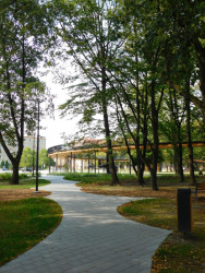 Kruhovité ostrůvky zeleně mezi sebou svírají nepravidelné cestičky.