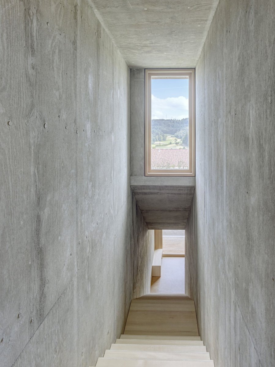 Dům 3B, Bottenwill, juri troy architects - foto