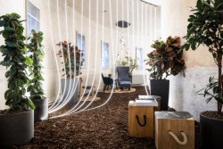 Les je tématem letošního 24. ročníku Designbloku