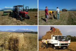 Fotografie z průběhu stavby