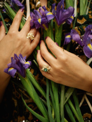 Janja Prokić - Prsten Iris se smaragdem