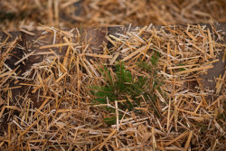 Consequence forma architects, dětská vesnička v Brně