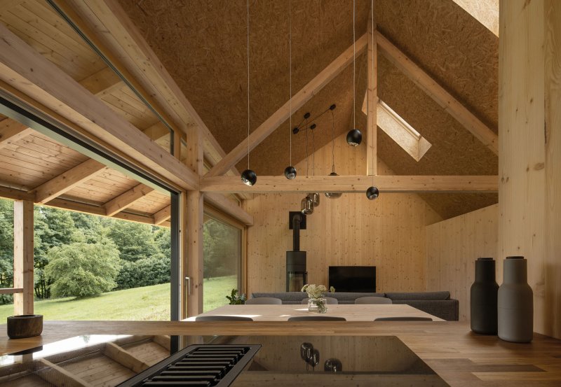 Pokoj je převýšený do krovu. (Víkendový dům v Českém ráji, NEW HOW Architekti)
