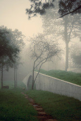 Rodinný dům v Mexiku od HW Studia