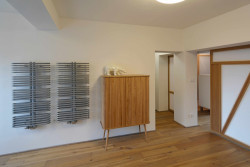 Rekonstrukce rodinného domu v Brně, NEW WORK