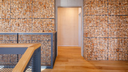 Administrativní budova Partizánske, Prodesi/ Domesi