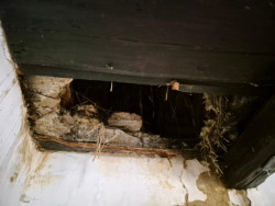 Strop, do kterého zatékalo. Postačí opravit poškozenou část.