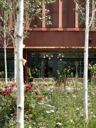 Architektonické studio JEMS Architekci realizovalo v areálu Varšavských pivovarů bytový dům, který nabízí byty od garsoniér až po dvoupatrové penthousy