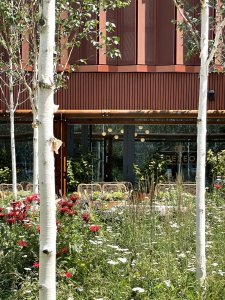 Architektonické studio JEMS Architekci realizovalo v areálu Varšavských pivovarů bytový dům, který nabízí byty od garsoniér až po dvoupatrové penthousy