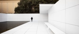 Mies Missing Materiality