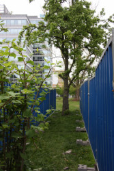 Krajinářský workshop s finským architektem Sami Rintalou a architektem Ivanem Kroupou (UMPRUM) v rámci letošního Landscape festivalu v Ostravě.