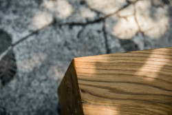 Pilotní projekt piknikových míst v pražské Stromovce, Land 05 / Martina Forejtová