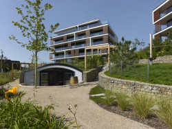 Pohled na způsob zakomponování komunitního prostoru do parku