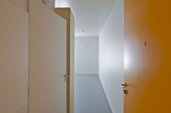 PPA Architectures, 50 Modular Timber Apartments - foto