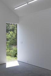 Ateliér, dílna a skleník v jednom v Buffalu od architektonického studia Davidson Rafailidis