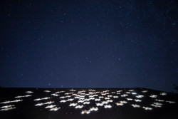 Rekonstrukce stodoly v Pošumaví, BYRÓ architekti: Střecha dovnitř propouští světlo prosvětlovacími šablonami