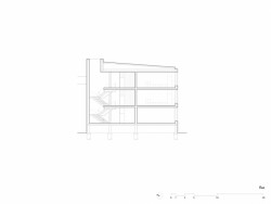 Základní škola Nezamyslice, řez, Malý Chmel