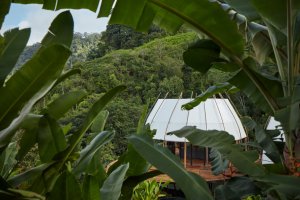 COCO - ART Villas Costa Rica, ARCHWERK/ M.A. Martin Kloda, Ing. arch. Hana Procházková + Formafatal/ Ing. arch. Dagmar Štěpánová